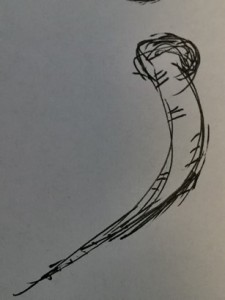 a tusk looking doodle